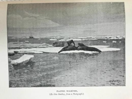 1898年 弗里乔夫·南森《极北之旅》（全2卷） 约百幅插图 漆布精装18开 商品图7