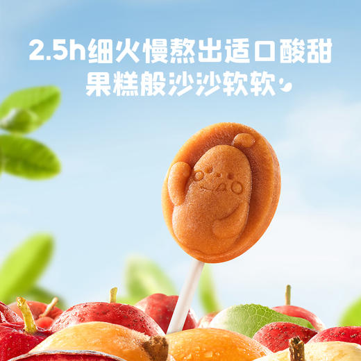 【好友邀你一起买】鲜果山楂礼盒（内含4件） 商品图6