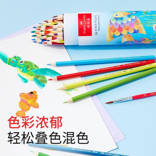 德国辉柏嘉水溶性彩铅24色36色48色彩色铅笔笔筒款 商品图2