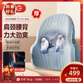 SKG腰部按摩器_T3二代