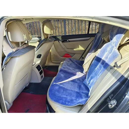 大众 迈腾 1.8TSI 豪华型【长租-北京】 商品图7