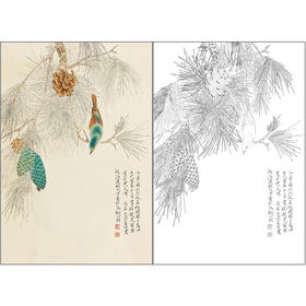任重花鸟工笔画白描底稿《寒松小鸟》临摹勾线高清打印稿RD43