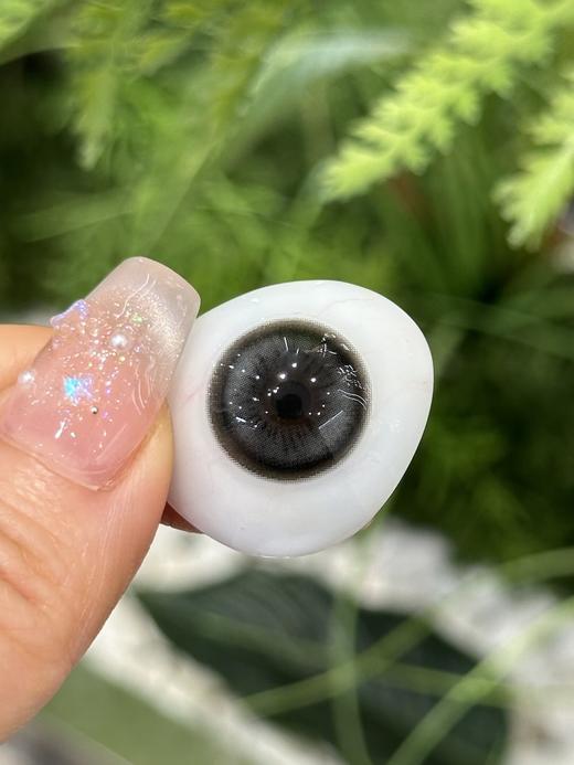 Fufullcon半年抛品牌-黑巧大芙 商品图2