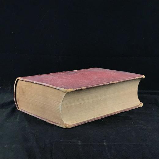 【法语】1885年 拉帕朗《地质学论文集》 666幅版画插图 真皮精装18开 商品图1