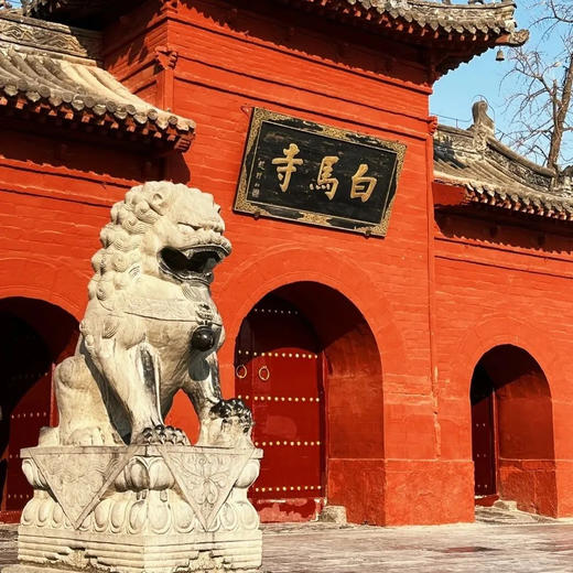 【十人专属】边玩边养老丨漫游洛阳，赏尽神州牡丹国色，观老君山云海翻腾，探寻千年古都魅力！ 商品图8