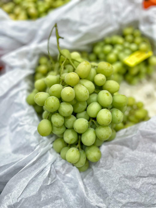 【甜地球】澳洲甜地球青提，无籽青提，果型圆硬度好，入口脆，甜度好！ 商品图3