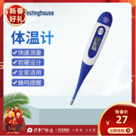 西屋（Westinghouse）电子温度计_HSYL-TW01