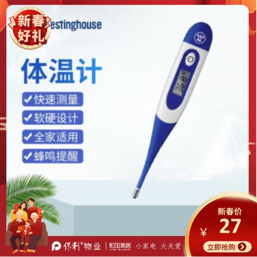 西屋（Westinghouse）电子温度计_HSYL-TW01 商品图0