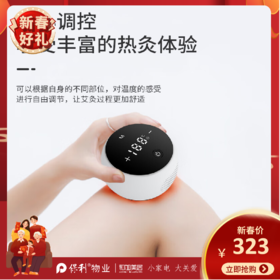 西屋（Westinghouse）智能艾灸盒_WAJ-L1