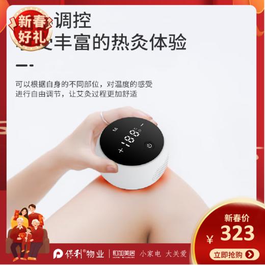 西屋（Westinghouse）智能艾灸盒_WAJ-L1 商品图0