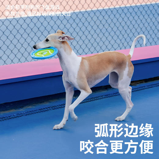 zeze网球橄榄宠物飞盘-B （包邮） 商品图1