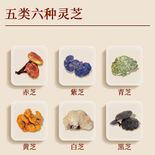 Vita Green 维特健灵五色灵芝72粒 商品图3