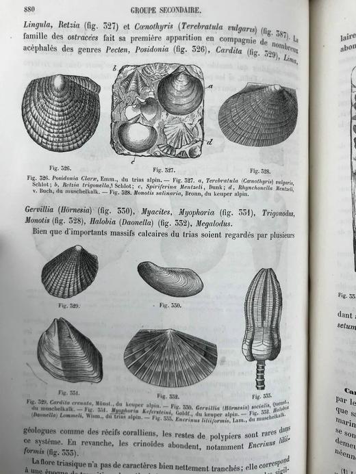 【法语】1885年 拉帕朗《地质学论文集》 666幅版画插图 真皮精装18开 商品图10