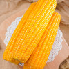 「10根装！甜黄糯玉米」溢田东北甜黄糯玉米10根单根真空装零食 商品缩略图3