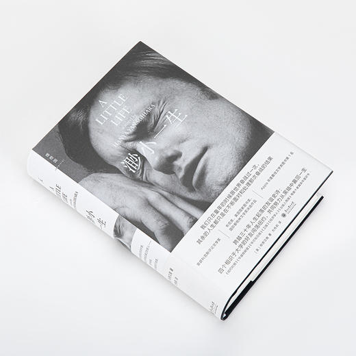 渺小一生 商品图4