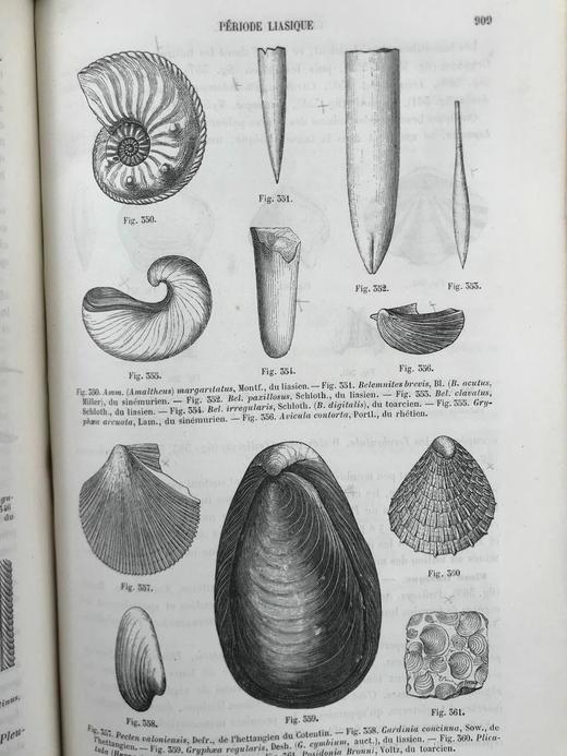 【法语】1885年 拉帕朗《地质学论文集》 666幅版画插图 真皮精装18开 商品图8