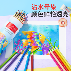 德国辉柏嘉水溶性彩铅24色36色48色彩色铅笔笔筒款