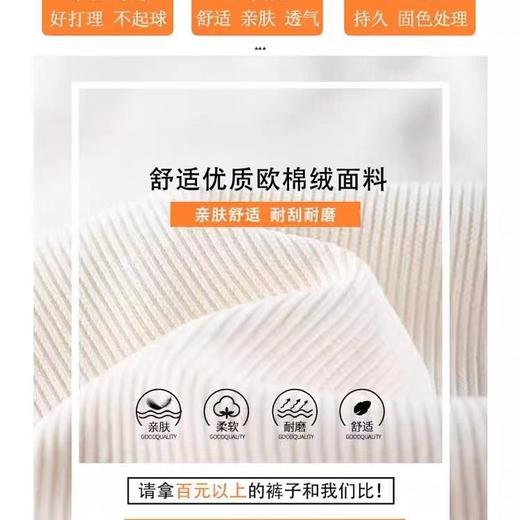 窄版阔腿裤女春秋2025新款欧棉绒小个子加绒垂感拖地休闲直筒裤子 商品图3