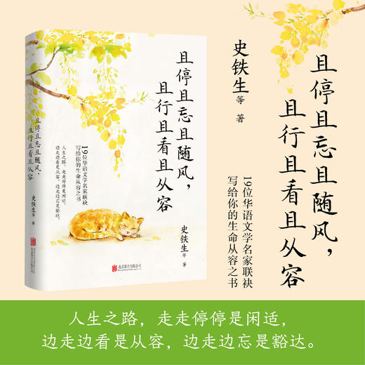且停且忘且随风，且行且看且从容 | 史铁生领衔，沈从文、汪曾祺、丰子恺、周国平……19位华语文学名家联袂写给你的生命从容之书！ 商品图0