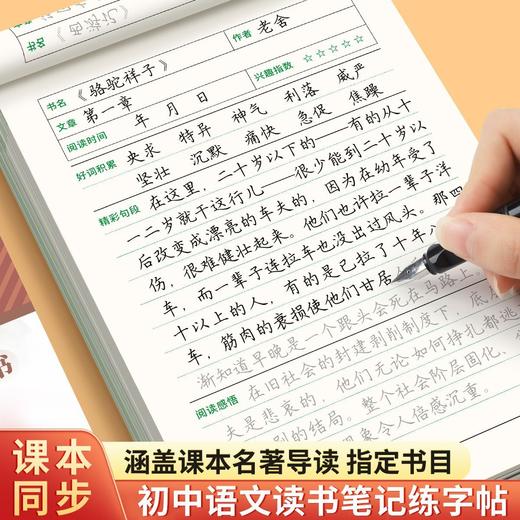 初中读书笔记练字帖课本同步七八九年级语文同步练字帖阅读摘抄本 商品图1