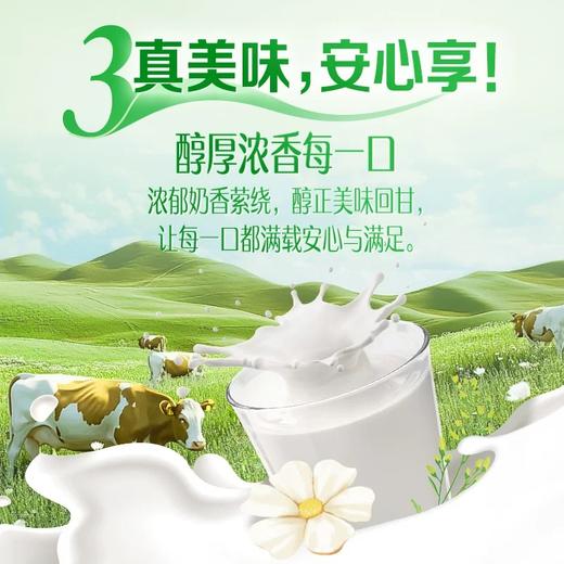 【新品上市】伊利高钙高蛋白奶粉 全家营养奶粉300g罐装 含多种维生素和矿物质 商品图3