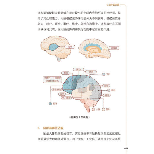 脑健康处方 配增值 健康中国你我同行科普读物 国家卫生健康委宣传司 组织编写 常见脑血管病有哪些 人民卫生出版社 9787117376419 商品图4
