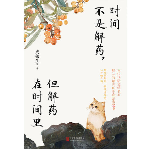 时间不是解药，但解药在时间里 | 史铁生领衔，沈从文、汪曾祺、丰子恺、贾平凹……20位华语文学名家联袂写给你的生命治愈之书！ 商品图2
