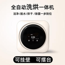 艾德勒滚筒迷你内衣洗衣机小型全自动成人母婴儿童袜子洗烘一体内裤清洗机壁挂桌面两用 壁挂升级新款-洗烘一体 杀菌除螨