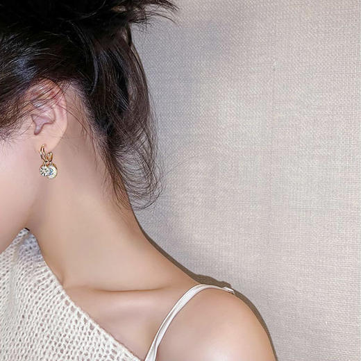 雀说 【海的女儿】高级感轻奢小众耳坠LY--0295 商品图1