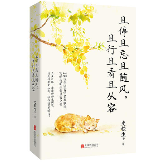 且停且忘且随风，且行且看且从容 | 史铁生领衔，沈从文、汪曾祺、丰子恺、周国平……19位华语文学名家联袂写给你的生命从容之书！ 商品图1