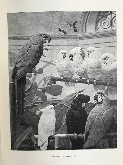 1898年 艺术杂志 数百幅精美插图 真皮脊精装大16开 商品图8