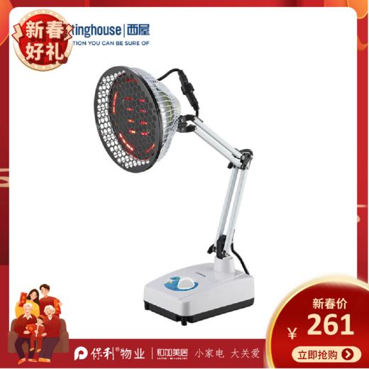 西屋（Westinghouse）特定电磁波谱治疗仪_T-21A 商品图0
