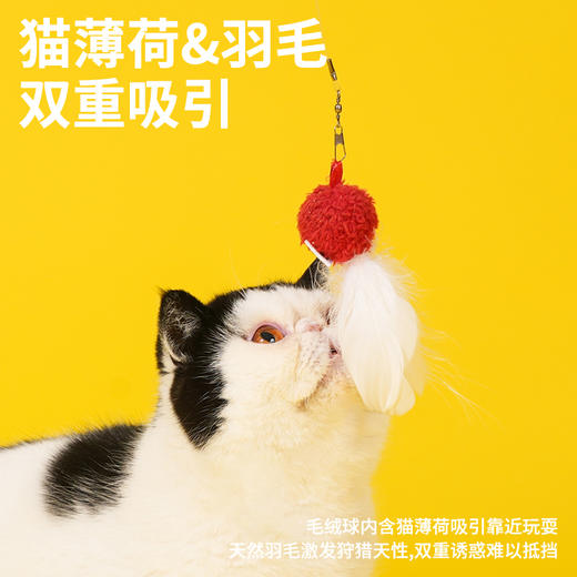 zeze糖葫芦逗猫棒（糖葫芦吊件款）-B(包邮) 商品图2