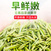 【2026年新茶】天府龙芽丨宜宾早茶 明前早春头采 特级 绿茶 50g 头采量少 商品缩略图3