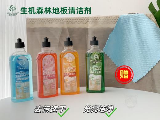 🎉品牌直发❗郝劭文代言❗一拖一喷 洁净如新✨ 【生机森林地板清洁剂小白鞋清洗剂】日常清洁B备好物❗  商品图5