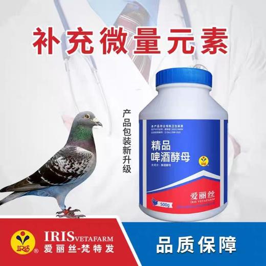 【啤酒酵母】买一送一，营养品（爱丽丝） 商品图1