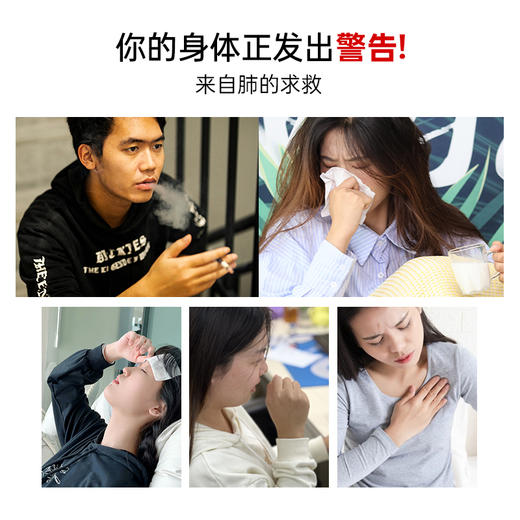 三浦制药DonCoo进口清肺宝 清肺散郁 清肺片养肺润肺 增强肺动力 商品图1