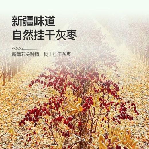 新疆特级原枣 AWJM 商品图4