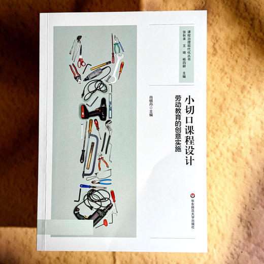 小切口课程设计 劳动教育的创意实施 中小学案例 商品图1