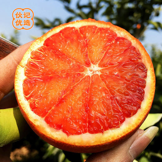 3月27日12点截单【宜宾血橙】伙记优选四川新鲜橙子 8斤家庭装  精品大果红橙子 富含丰富的花青素 当季新鲜水果 现摘现发 自然树上熟 不打药 商品图1