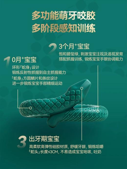 Hegen蛇年纪念款礼盒装，240ml奶瓶3-6月龄适用 商品图4