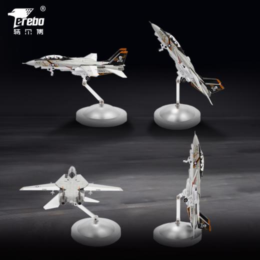 【特尔博-长春航展、九三阅兵纪念品】 1:100F14F15雄猫战斗机飞机模型丨合金仿真模型丨收藏精品丨送礼佳品丨家居摆件 商品图3