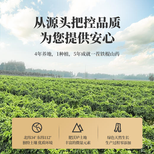 【199元3罐】滋仙草严选铁棍山药粉500g/罐 商品图3