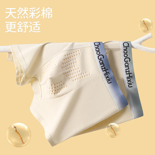 虫草唤醒彩棉内裤男士平角裤2025新款10A抗菌抵挡无染色负离子裤 商品图0