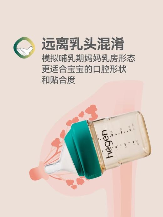 Hegen蛇年纪念款礼盒装，240ml奶瓶3-6月龄适用 商品图3