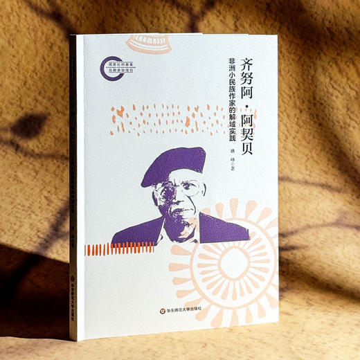 齐努阿·阿契贝 非洲小民族作家的解域实践 非洲文学研究 商品图4