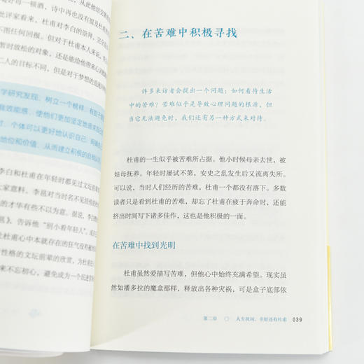 总有诗人解我忧 唐诗心理商谈室 中国古诗词不内耗心理学书籍反内耗心理学焦虑心理学人性心理学唐诗宋词 商品图4