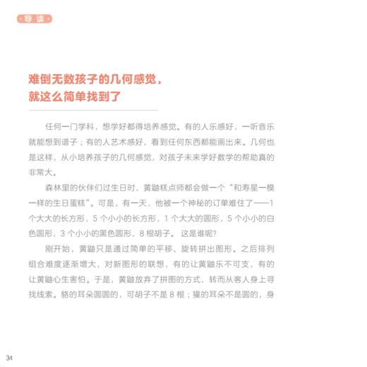 《经典逻辑力图画书》（全13册） 商品图5