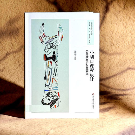 小切口课程设计 劳动教育的创意实施 中小学案例 商品图3