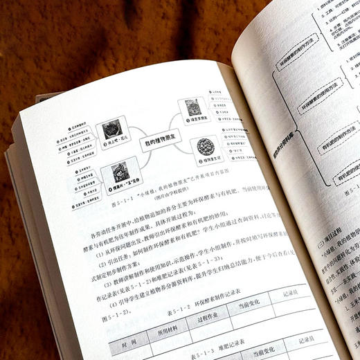 小切口课程设计 劳动教育的创意实施 中小学案例 商品图11